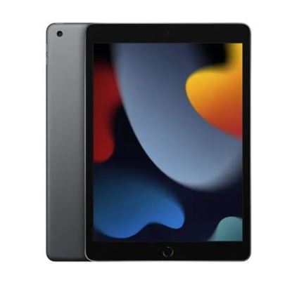 iPad Wi-Fi 10.2 Pulgadas, 256GB, Gris espacial