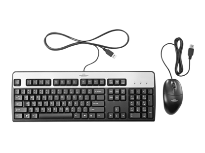 Kit de Teclado y Mouse HPE USB Negro