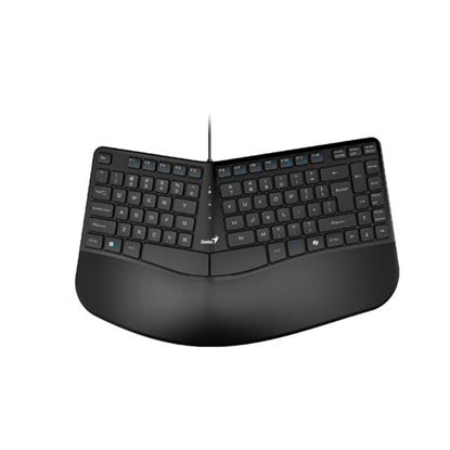 Teclado Ergonomico Genius Usb Negro