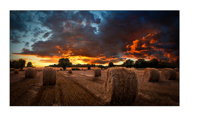 Pantalla Video Wall Samsung 55” IPS Full HD 24/7 Profesional